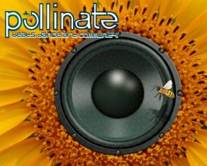 Pollinate Sunfower