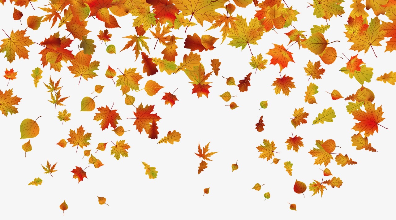 October 13th Fall Harvest Dance – Dance Friday